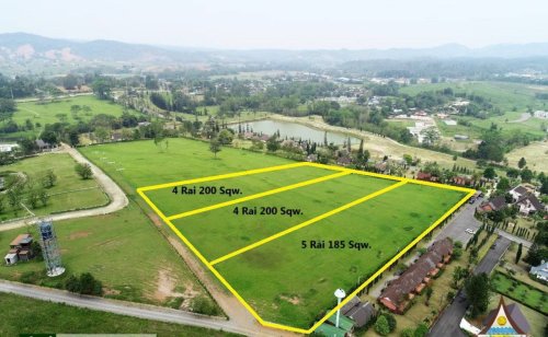 Land For Sale in Khao Kho - 3 parcels - NLE24-L002