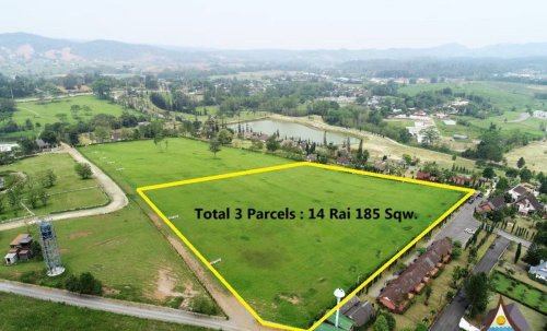 Land For Sale in Khao Kho - 14 Rai 185 Square Wah - NLE24-L001